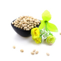 Vente chaude grande haricot blanc germination grade